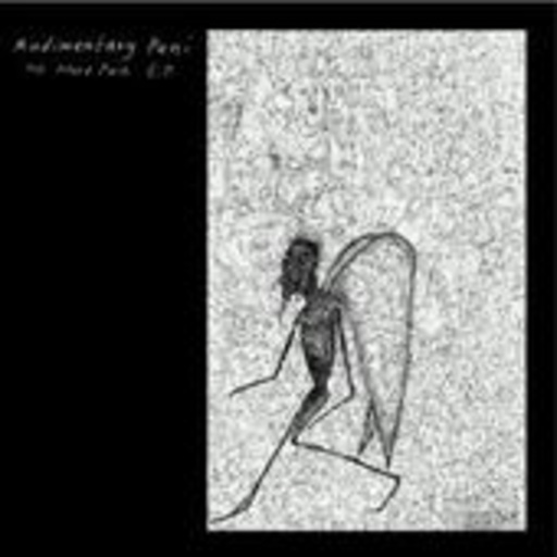 Rudimentary Peni – No More Pain