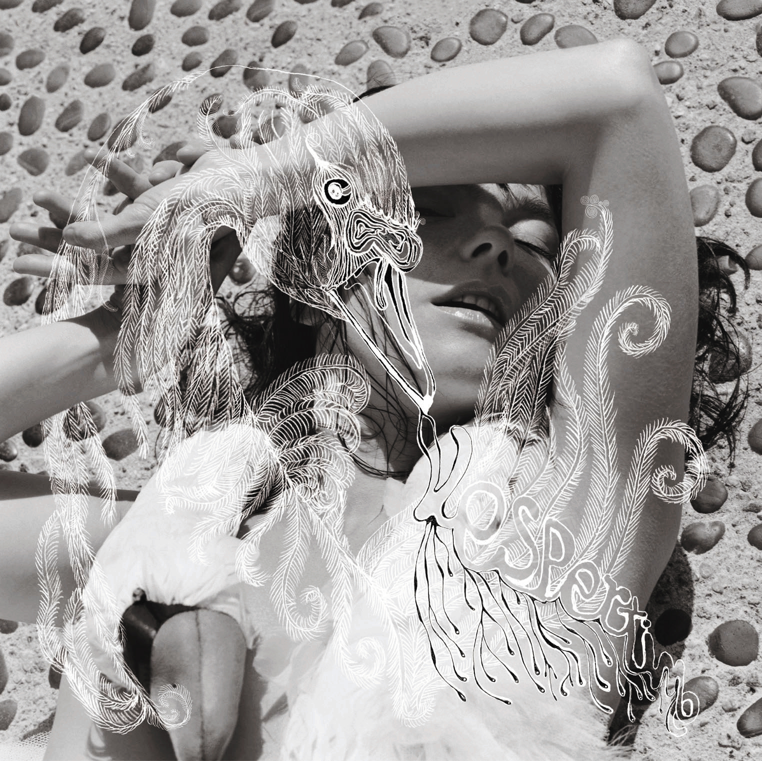 Björk – Vespertine