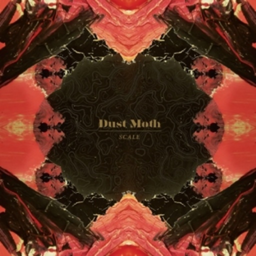 Dust Moth – Scale