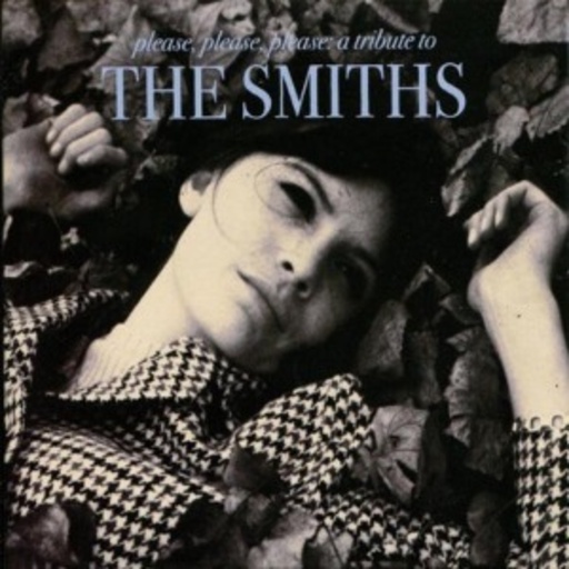 Diverse – Please, Please, Please - A Tribute To The Smiths