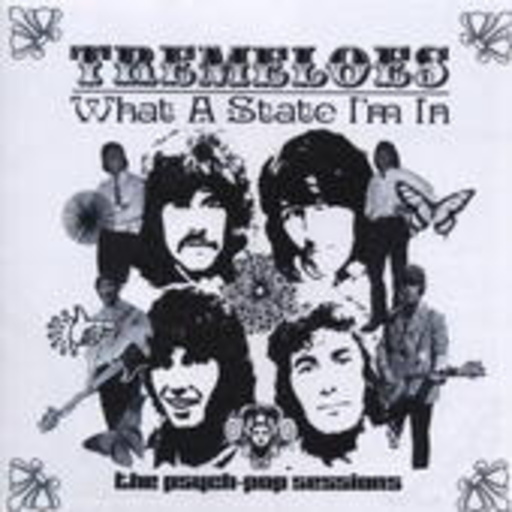 The Tremeloes – What A State I'm In (The Psych-Pop Sessions)