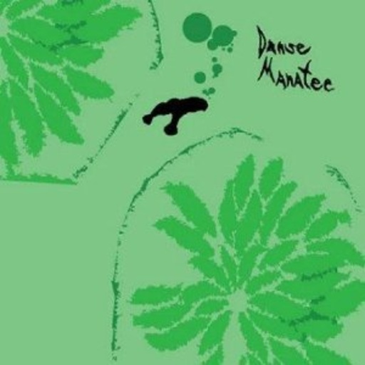 Animal Collective – Danse Manatee