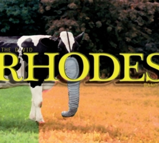 David Rhodes Band – David Rhodes Band