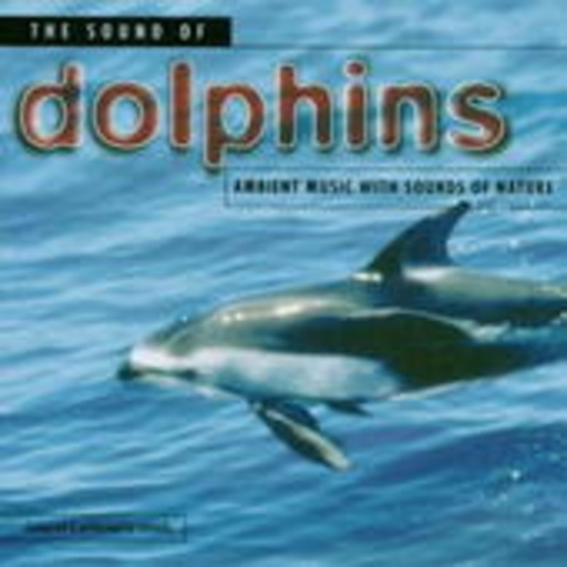 Diverse – The Sound Of Dolphins