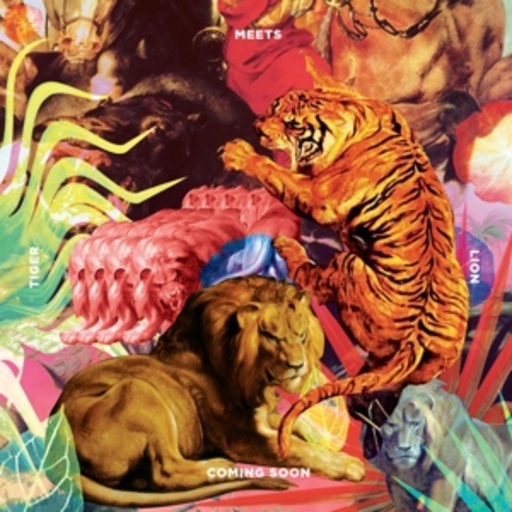 Coming Soon – Tiger Meets Lion