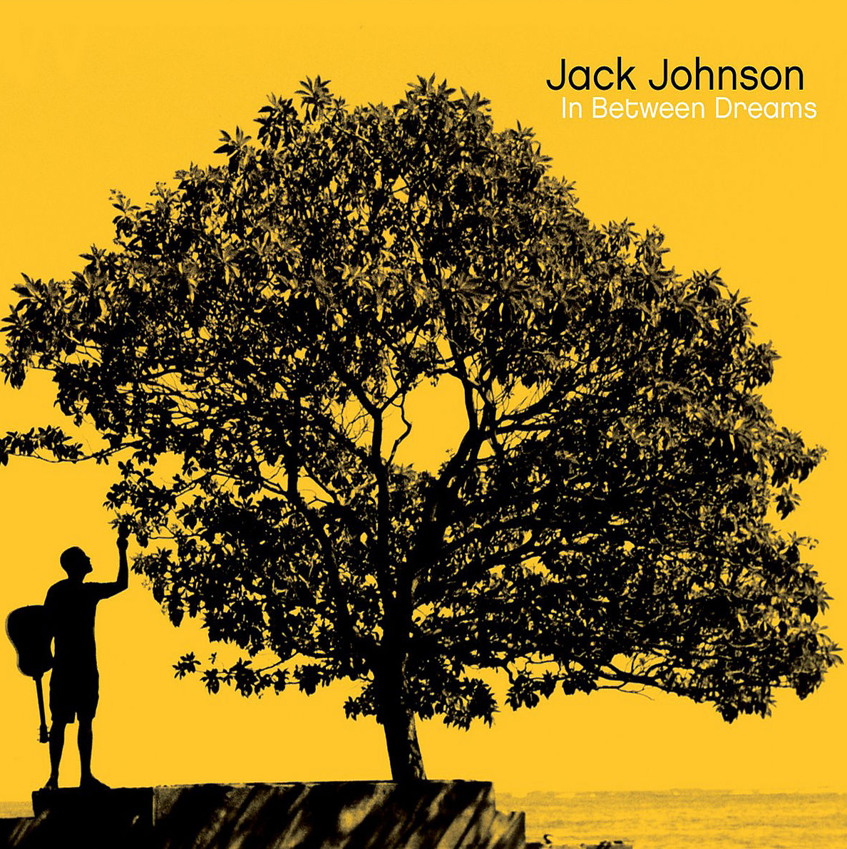 Jack Johnson – In Between Dreams