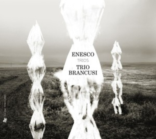 Trio Brancusi – Enesco