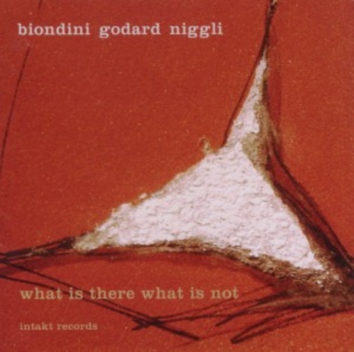 Luciano Biondini/Michael Godard/Lucas Niggli – What Is There What Is Not