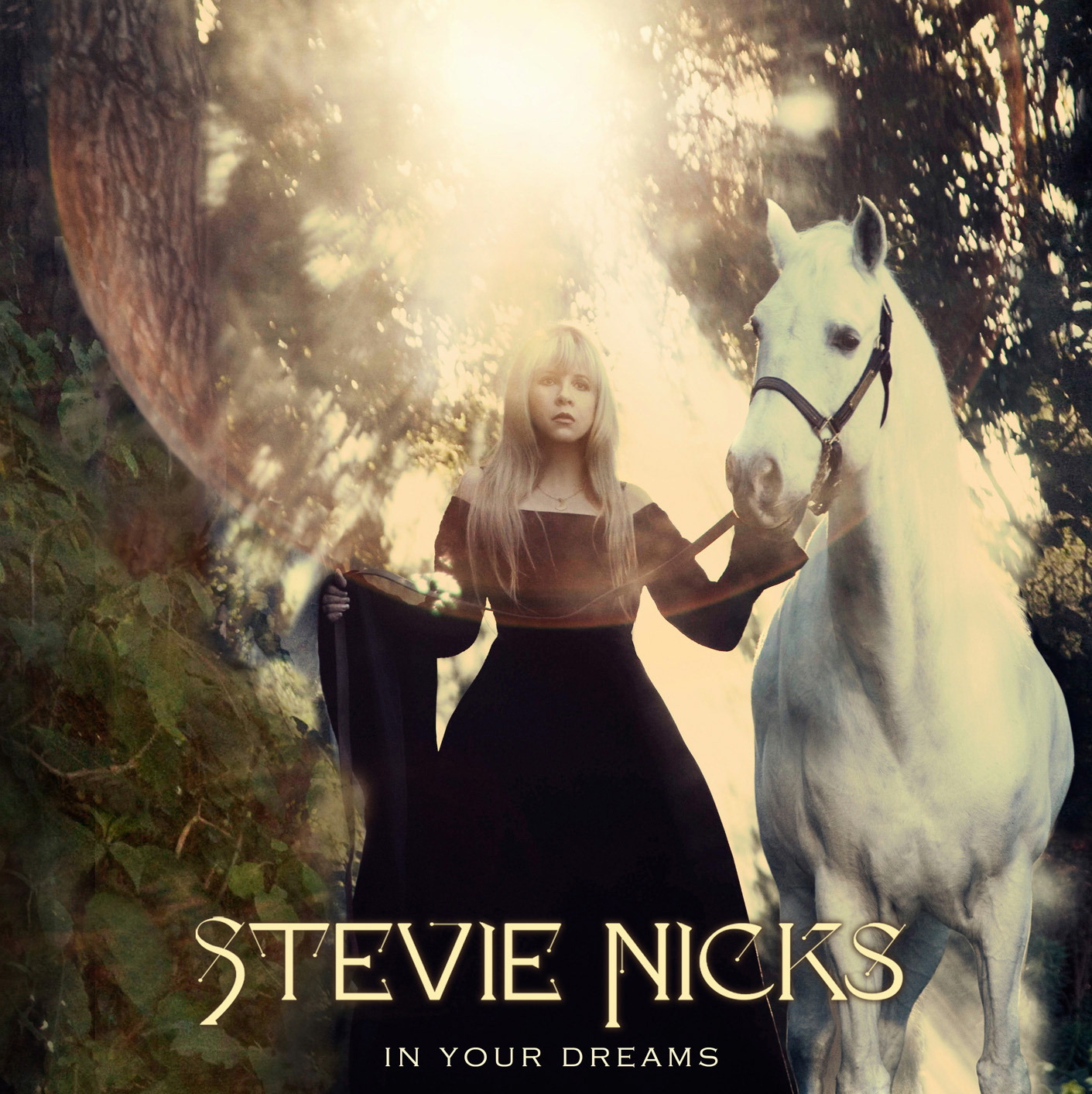 Stevie Nicks – In Your Dreams