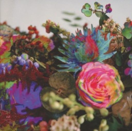 Darkstar – News From Nowhere