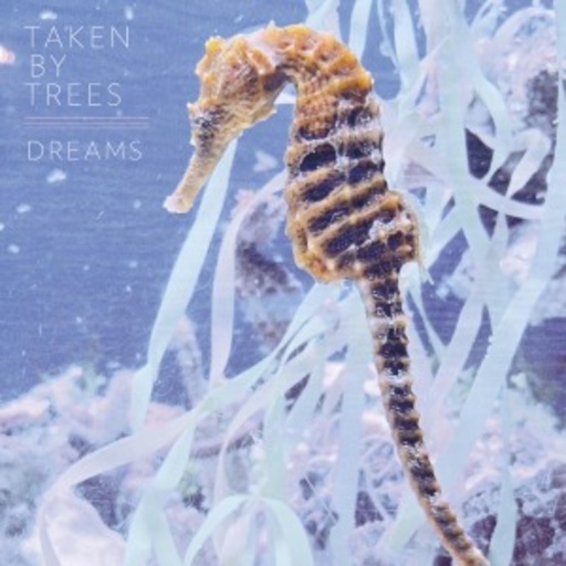 Taken By Trees – Dreams EP