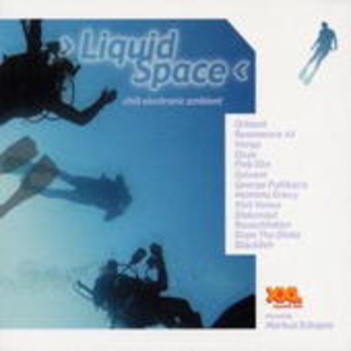Diverse – Liquid Space - Chill Electronic Ambient mixed by Markus Schaper