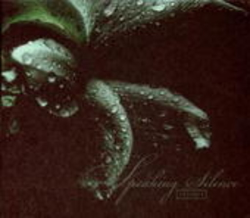 Speaking Silence – Insides