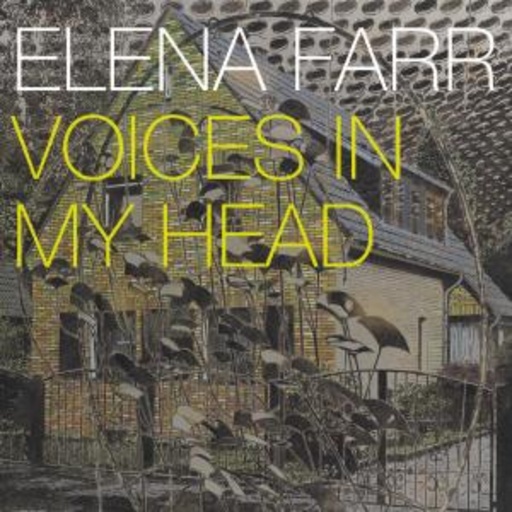 Voices In My Head