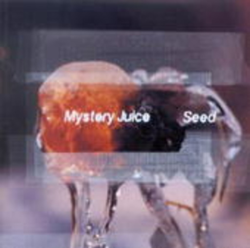 Mystery Juice – Seed