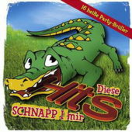 Diverse – Diese Hits schnapp i mir