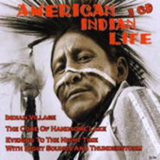 Diverse – American Indian Lifes