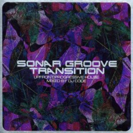 Diverse – Sonar Groove Transition