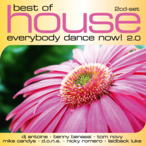 Diverse – Best Of House - Everybody Dance Now! 2.0