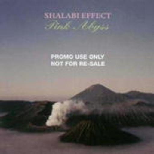 Shalabi Effect – Pink Abyss