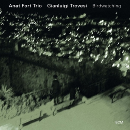 Anat Fort Trio – Birdwatching