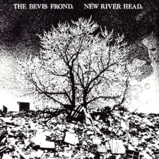 The Bevis Frond – New River Head