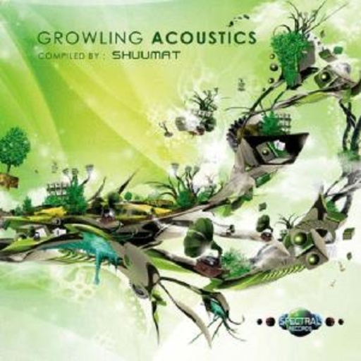 Diverse – Growling Acoustics