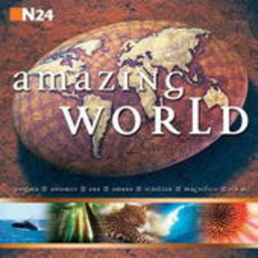 Diverse – Amazing World