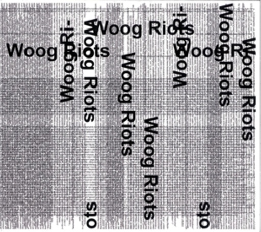 Woog Riots – From Lo-Fi To Disco!