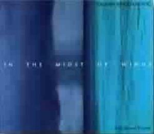 Dusan Bogdanovic – In The Midst Winds