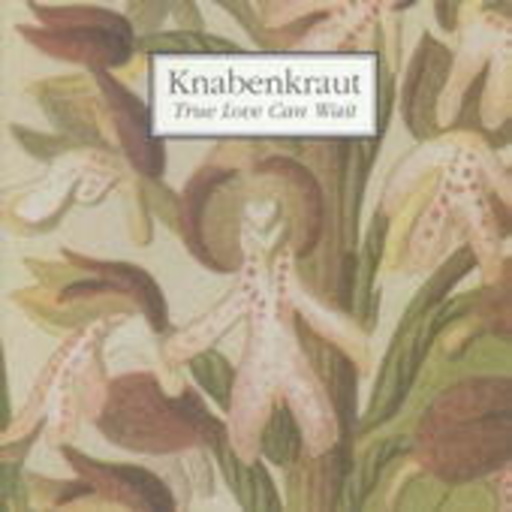 Knabenkraut – True Love Can Wait