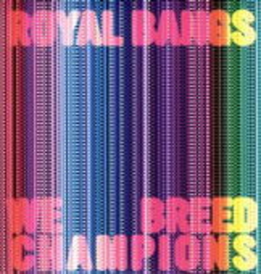 Royal Bangs – We Breed Champions