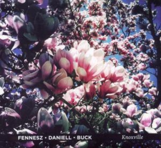 Fennesz/Daniell/Buck – Knoxville
