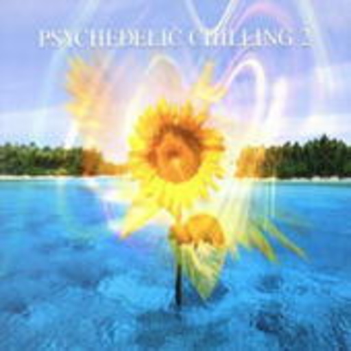 Diverse – Psychedelic Chilling Vol. 2