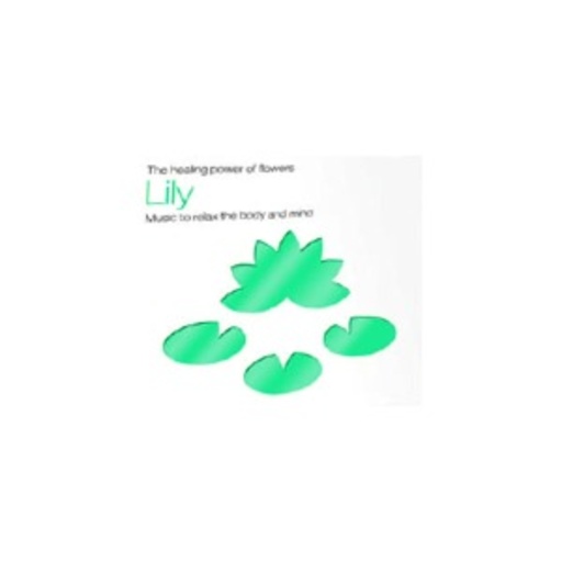 Diverse – Lily