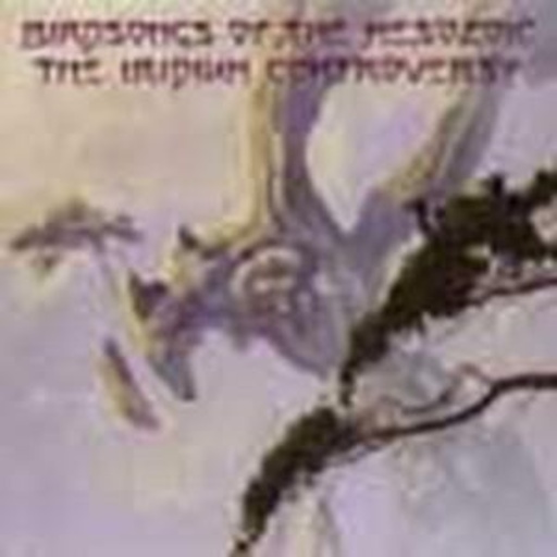 Birdsongs Of The Mesozoic – The Iridum Controversy