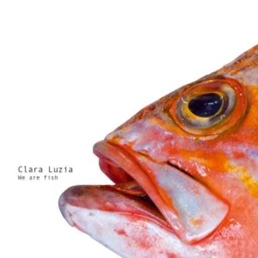 Clara Luzia – We Are Fish