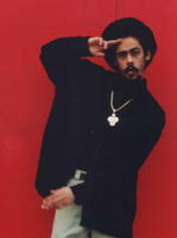 Live auf dem Summerjam und bei arte: Damian Marley