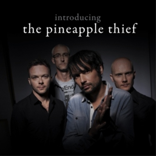 The Pineapple Thief – Introducing