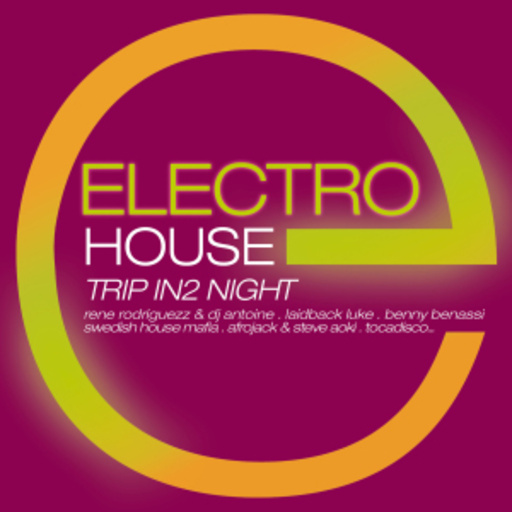 Electro House – Trip In 2 Night