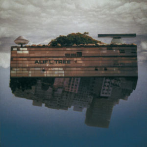Alif Tree – Spaced