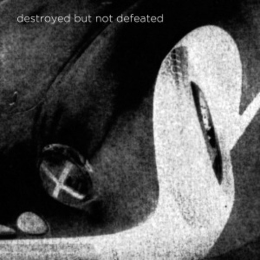 Destroyed But Not Defeated – Destroyed But Not Defeated