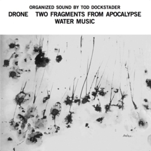 Organized Sound By Tod Dockstader – Drone/Two Fragments From Apocalypse etc.