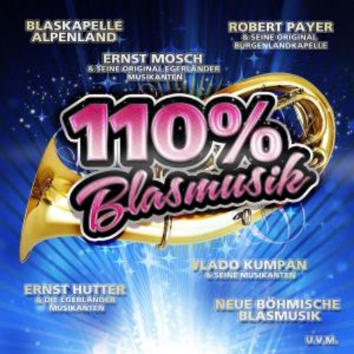 Diverse – 110% Blasmusik