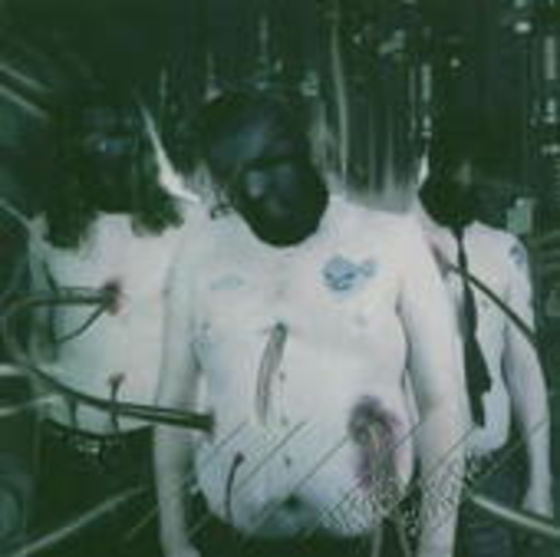 To Separate The Flesh From The Bones – Utopia Sadistica