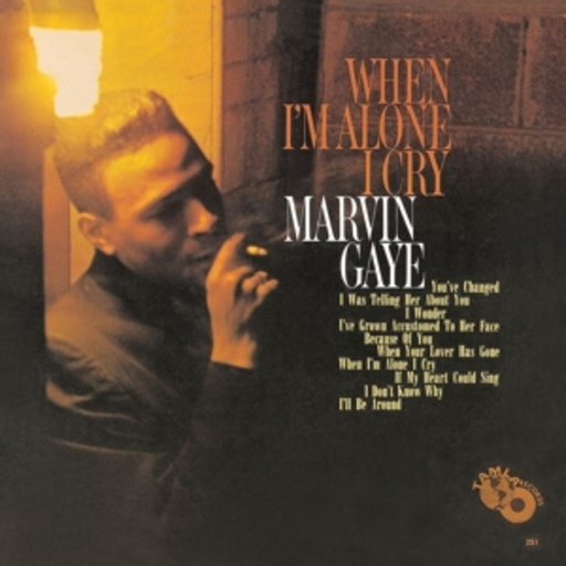 Marvin Gaye – When I'm Alone I Cry