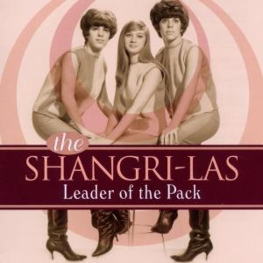 The Shangri-Las – Leader Of The Pack