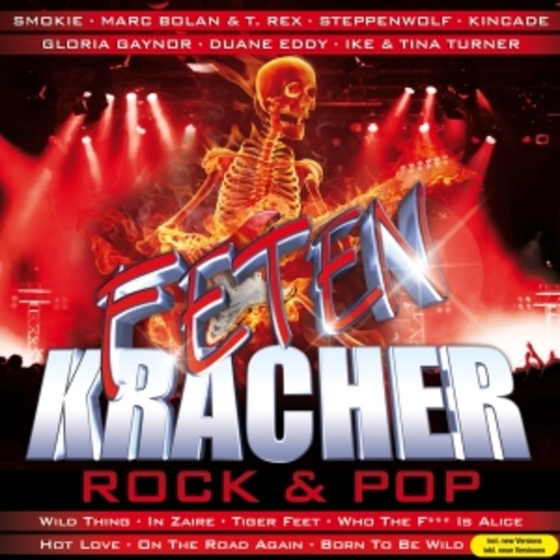 Diverse – Fetenkracher - Rock & Pop