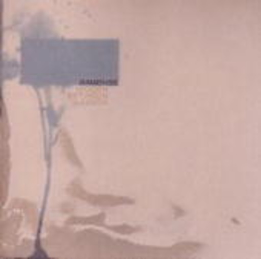 Immense – Hidden Between Sleeves