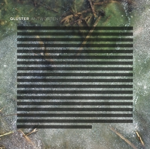 Qluster – Antworten